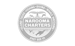 Fisse Design Web Design Client: Narooma Charters