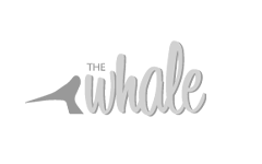 Fisse Design Web Design Client: The Whale